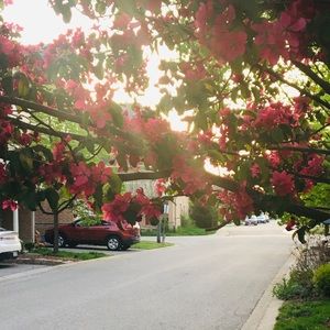 Meet your Posher, Yas